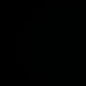 Meet your Posher, Abigail